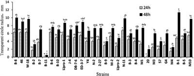 Anaerobic Solid-State Fermentation of Soybean Meal With Bacillus sp. to Improve Nutritional Quality